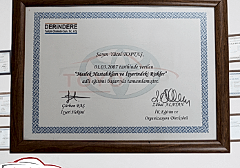 DERİNDERE - Başarı Belgesi